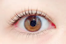 ⭐️限定価格⭐️上下パーマ🌙ラッシュリフト🫧パリジェンヌも