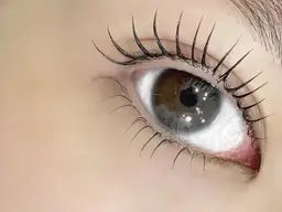 上下まつげパーマ👀パリジェンヌorラッシュリフト🩵当日予約⭕️