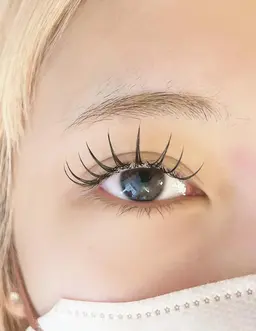 【LED】フラットラッシュ100本🌼