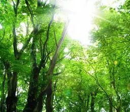【ミニモ限定】癒しのボディケアトリートメント✨仰向け施術デコルテ付き45分🍀