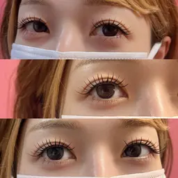 【撮影モデル】フラットラッシュ160本(オフありの方140本まで) (オフ無料)