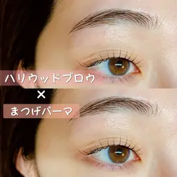 トリートメント付/まつ毛パーマ➕ハリウッドブロウ