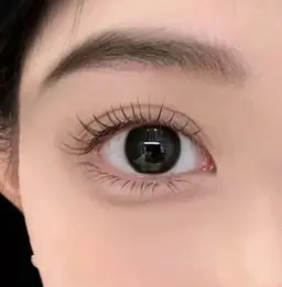 パリエク80本まで⭐️オフなし⭐️