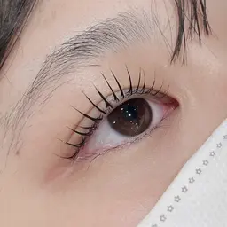 ◾︎【10/7荻窪店限定】まつ毛パーマ🎀