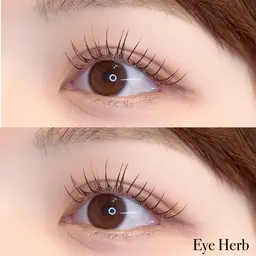 【リペア🌷】フラットラッシュ60本＋美容液コーティング付き♡