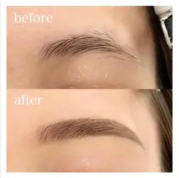 レディース🫧眉カット