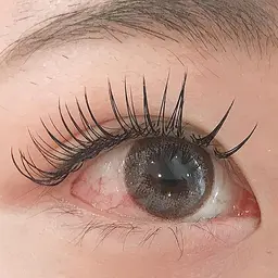 🌸セーブル(100本¥4,500or120本¥5,000)