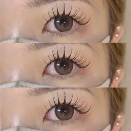 《パリエク》パリジェンヌ＋フラットラッシュ100本