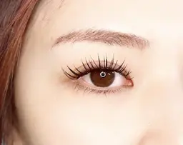 【練習モデル】LEDフラットラッシュ 100～120本