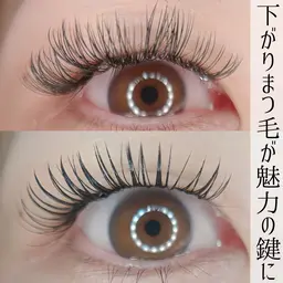 補足事項必読！エクステオプションメニュー。話題のエクステパーマ。下がりまつ毛でも根元から立ち上げ毛先まで一体感！