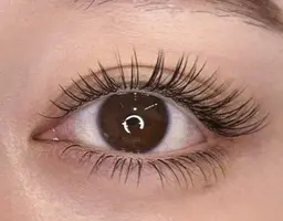 【技術講習モデル募集】オリジナルボリュームラッシュ3D LED80束75分/撮影okの方/オフなし