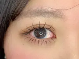 🩶下まつ毛40本