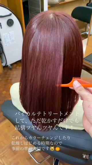 秋カラー/ボルドーカラー/ワインレッド/カシスカラー/カシスピンク/カシスレッド/ラベンダーカラー/ラベンダーグレージュ/透明感カラー 