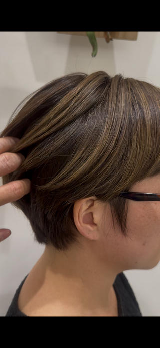 カラー 藤本 豪海のヘアスタイル