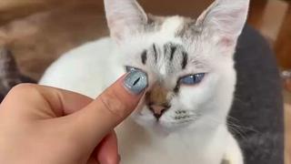 ネイル nailsalon Ecliaのネイルデザイン