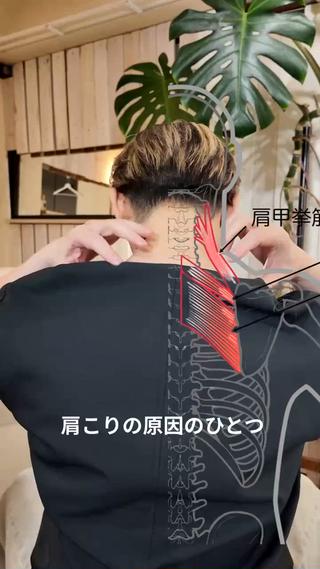 肩こりの原因を見つけて改善!まき方・猫背・姿勢・歩き方・座り方など日常生活でのなにげない動きを変えるだけで辛さが軽減される事も多々あります!