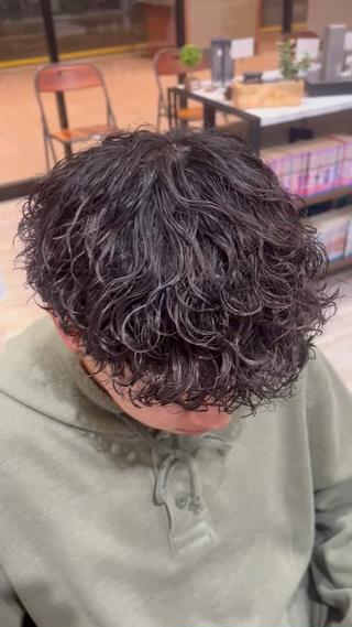 パーマ メンズ 田中 大輝のヘアスタイル