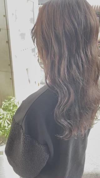 全体にシークレットハイライト入ってます!