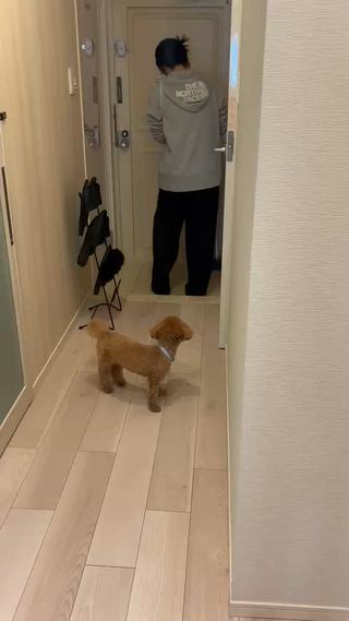 なんと青森からのお客様でしたありがとうございました