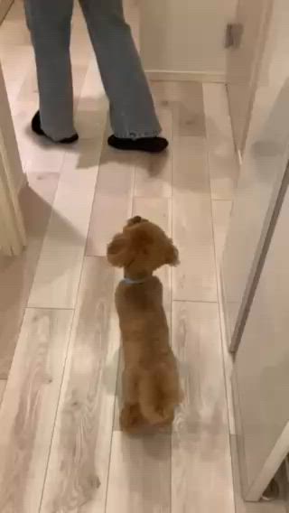 ご新規様ご来店ありがとうございました