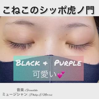 ブラックのエクステ(0.15ミリ)+極細(0.06ミリ)パープルのカラーエクステMIXデザインです
パープルは室内ではそれほどお色味が目立ちませんので、オフィスでも安心です
付け放題コースです