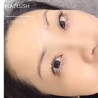フラットラッシュ120本 