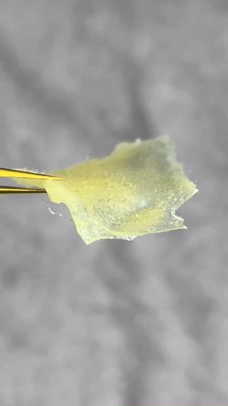 お顔の Wax脱毛