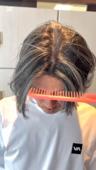 ハイライト 