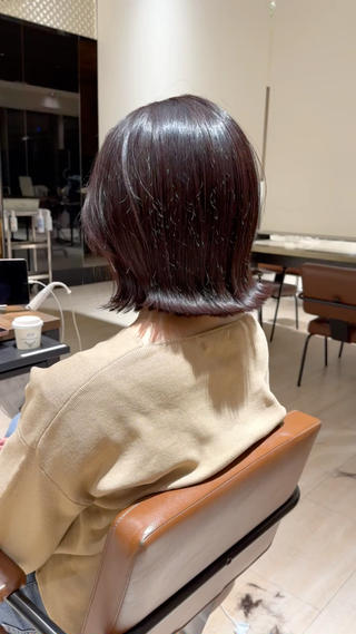 violet × bob