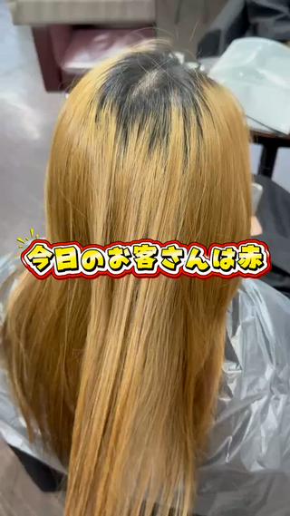 人気のボルドーカラー
深みのある赤紫が魅力のボルドーカラー。ブリーチだからこそ叶う鮮やかな発色と透明感で、大人っぽく上品な印象を演出できる人気の暖色カラーです◎
ケアブリーチでダメージを抑えながら、髪質や履歴に合わせて理想のボルドーカラーをご提案します。色持ちの良い暖色カラーや韓国風カラーをご希望の方もお気軽にご相談ください
ボルドーカラー/ボルドーレッド/ワインレッド/レッドカラー/暖色カラー/ハイトーンカラー/ブリーチカラー/ケアブリーチ/ダブルカラー/透明感カラー/心斎橋美容室/長堀橋美容室