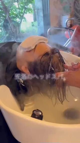 鶴田 拓也のヘアスタイル