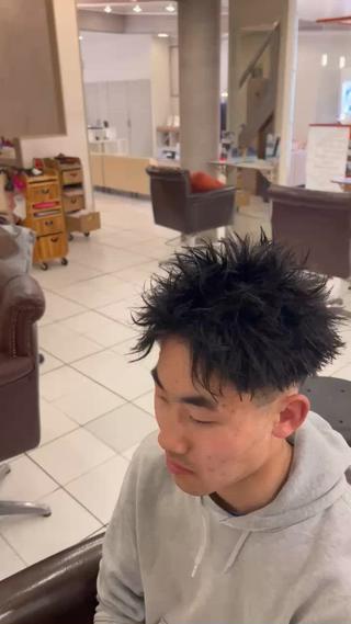 カットモデル