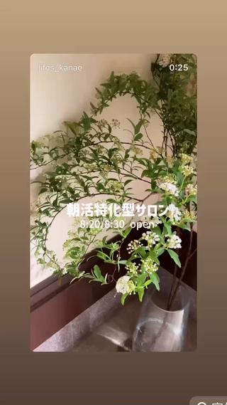只今、土曜日枠午後枠は顧客様優先満席の為、ご新規様の承りを平日午前のみとさせていただいております。 