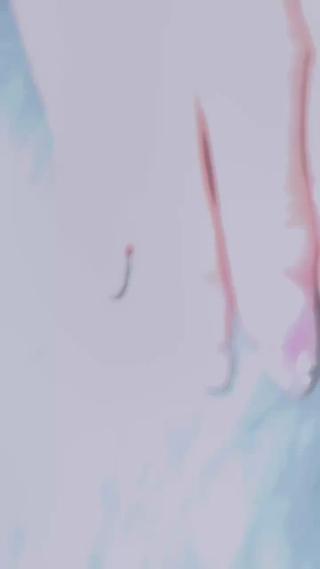 ネイル If Nailのネイルデザイン