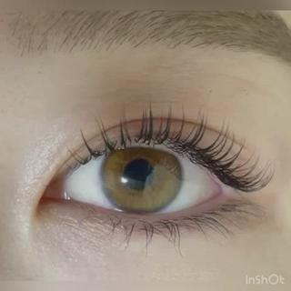 マツエク・マツパ eye lash salon SIDのマツエク・マツパデザイン