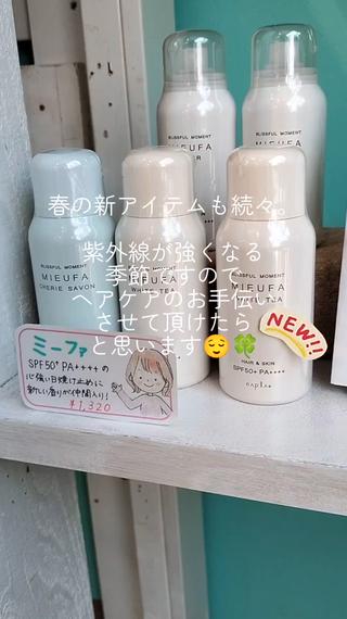 サロン雰囲気の動画です