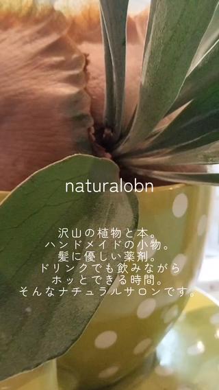 サロン雰囲気です