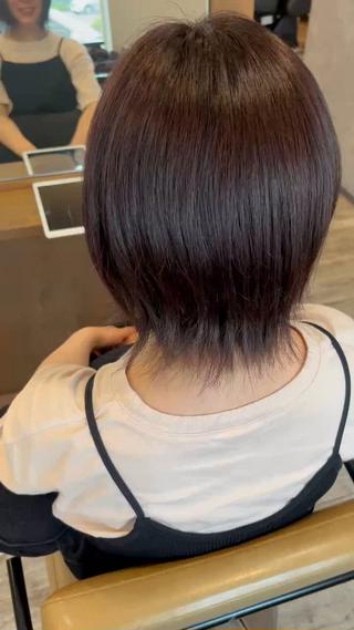 chocolate lavender
