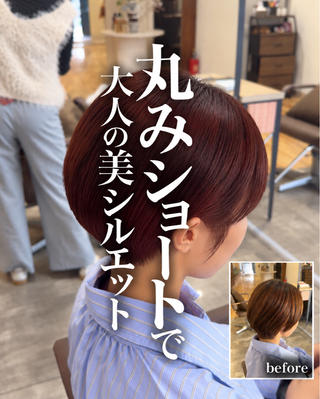 ショート カラー 大人ショート/ ボブ/中村莞太朗のヘアスタイル