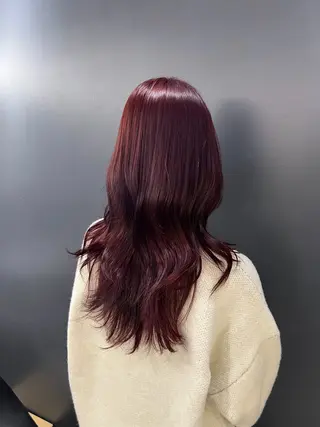 ロング カラー ヘアアレンジ 韓国ヘア/レイヤー/ 🩶ツブラ🩶のヘアスタイル