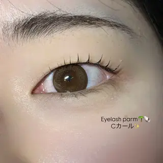 マツエク・マツパ Sour~deux Momoのマツエク・マツパデザイン