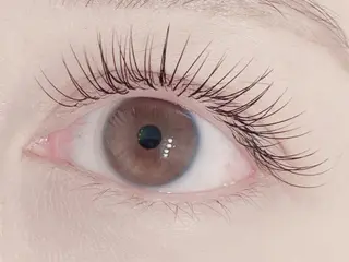 マツエク・マツパ 束感まつげ/マツエク 💎渋谷 rieのマツエク・マツパデザイン