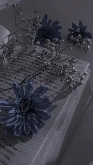 168.0 beauty のマツエク・マツパデザイン