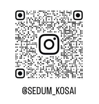 ネイル kosai sedumのネイルデザイン