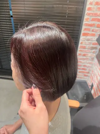 ショート カラー 田中 美月のヘアスタイル