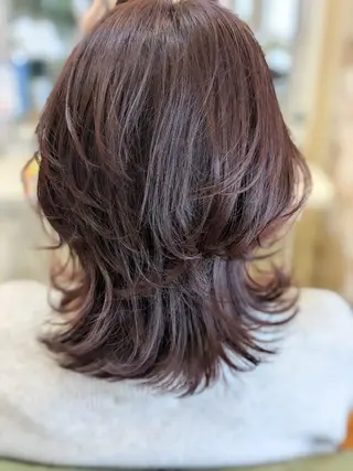 ショート カラー 加藤 彩のヘアスタイル