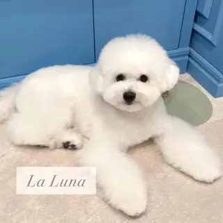 LaLuna🌙 Natsukiのネイルデザイン