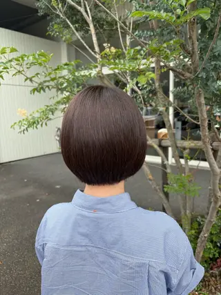 ショート カラー 高橋 乙葉のヘアスタイル
