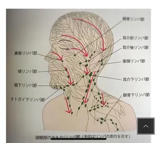 丸の内ヒルズ 今井琴恵のエステ・リラクイメージ