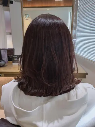 セミロング 坂本 なつきのヘアスタイル